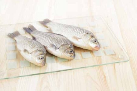 Canning Fish in Pint Jars Image